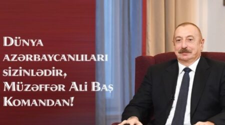 Diasporla İş üzrə Dövlət Komitəsindən Prezidentə təbrik videoçarxı - Video