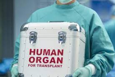 Dövlət büdcəsindən orqan transplantasiyasına vəsait ayrılacaq