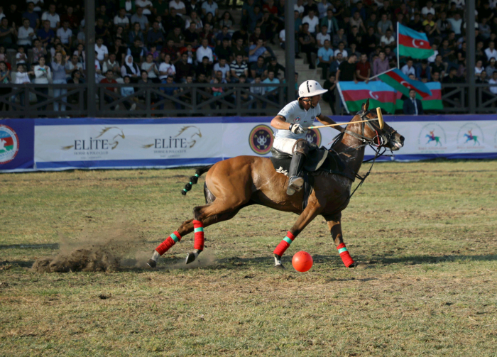 Azərbaycan komandası Bakıda keçirilən arena polo üzrə Avropa çempionatında üçüncü yeri tutub