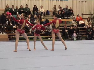 Dünya Kuboku: Azərbaycan gimnastları finala yüksəliblər