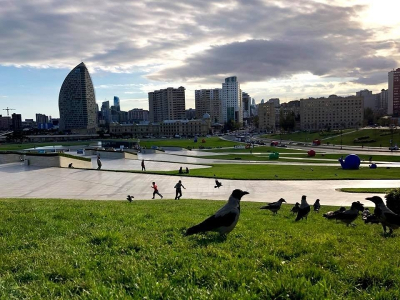 Sabahın hava proqnozu açıqlandı