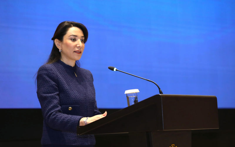 Ombudsman: Ermənistanın işğal siyasətinin humanitar fəsadlarından hələ də əziyyət çəkirik