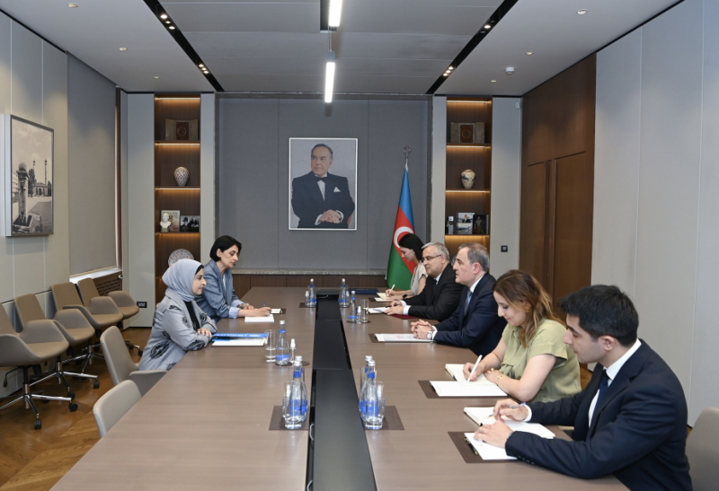 Azərbaycan ilə UNICEF arasında mövcud əməkdaşlıq məsələləri müzakirə edilib