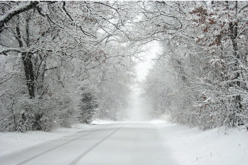 Sabah 18 dərəcə isti olacaq - 13.02.2026