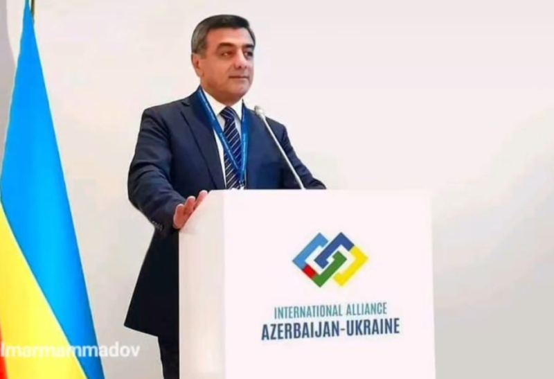 Beynəlxalq alyans sədri: Azərbaycanla Ukrayna arasında əməkdaşlığın perspektivləri genişdir