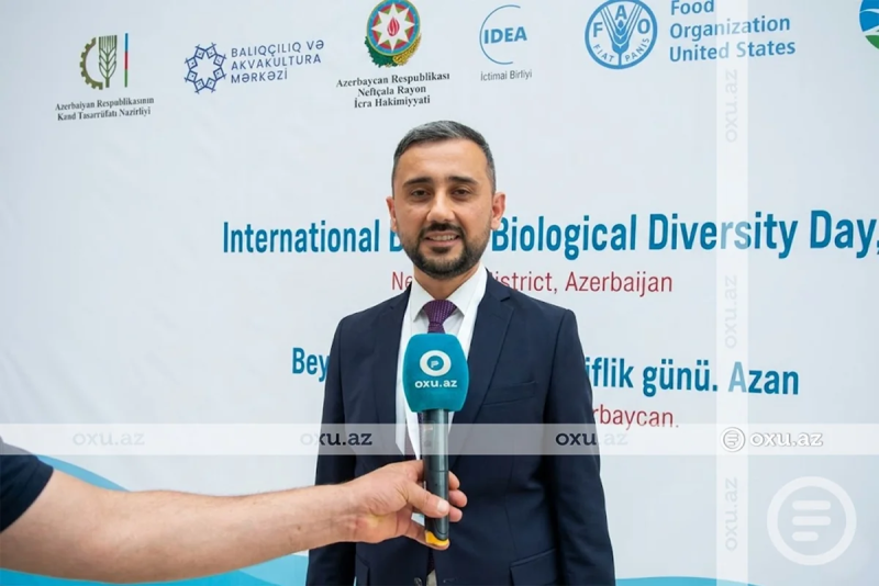 Ceyhun Əliyev: "Bu ay 150 min nərə balığının Xəzərə buraxılması nəzərdə tutulub"